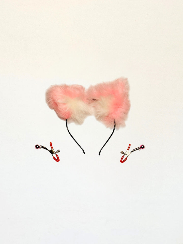 Set Fox | conjunto de zorra